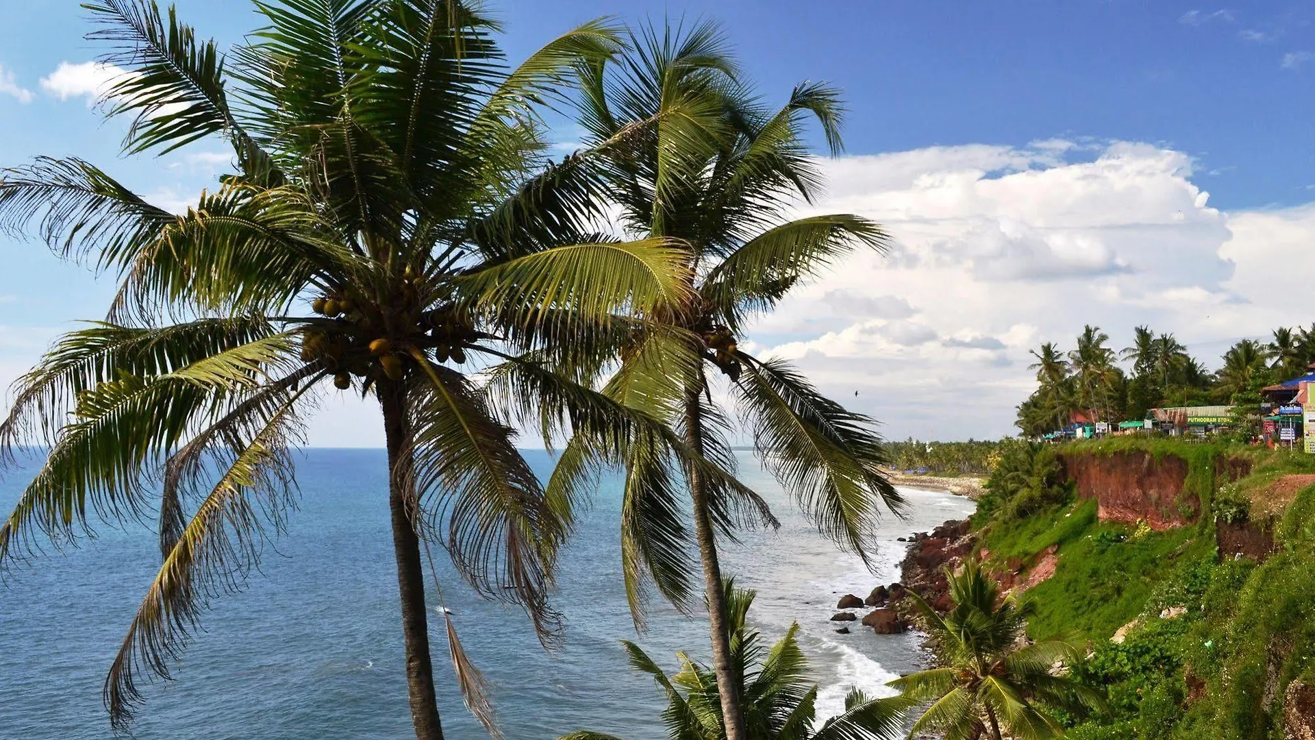 Savithri Inn Bamboo Cottages & Resorts Varkala